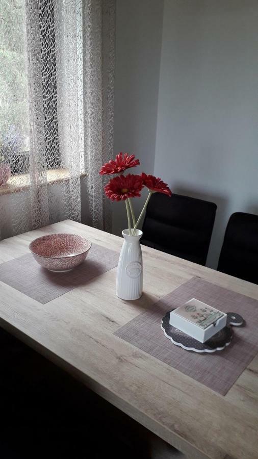 Apartman Nana Svetogorska 19 ,Stan 17 ซลาตีบอร์ ภายนอก รูปภาพ