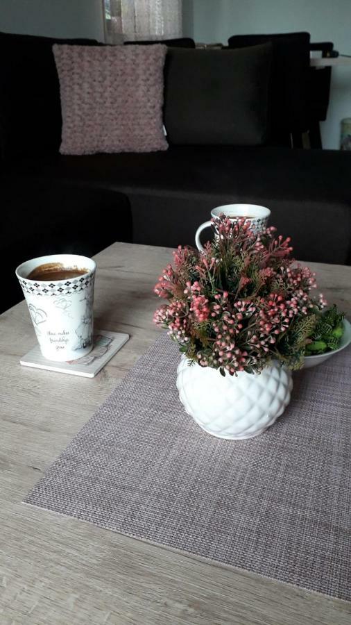 Apartman Nana Svetogorska 19 ,Stan 17 ซลาตีบอร์ ภายนอก รูปภาพ