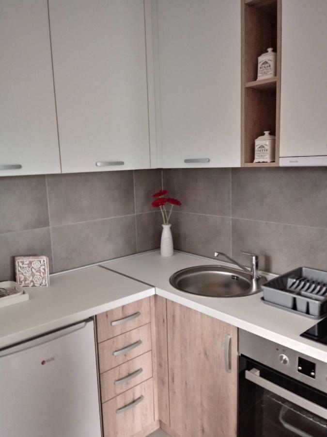 Apartman Nana Svetogorska 19 ,Stan 17 ซลาตีบอร์ ภายนอก รูปภาพ