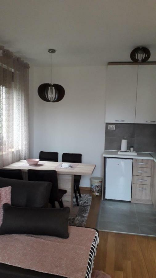 Apartman Nana Svetogorska 19 ,Stan 17 ซลาตีบอร์ ภายนอก รูปภาพ