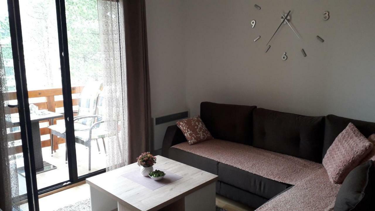 Apartman Nana Svetogorska 19 ,Stan 17 ซลาตีบอร์ ภายนอก รูปภาพ