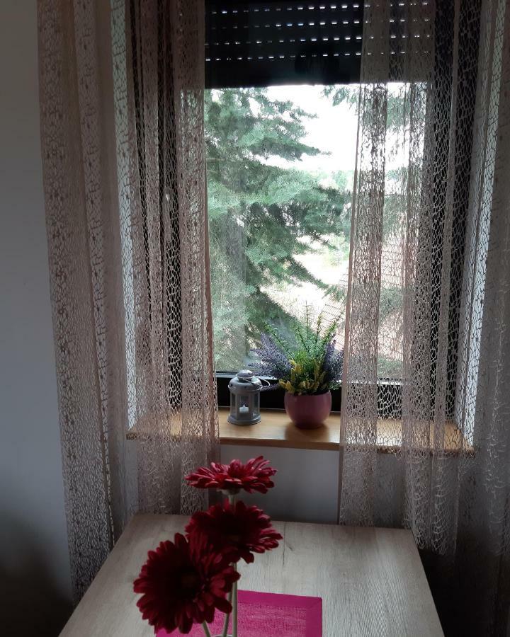 Apartman Nana Svetogorska 19 ,Stan 17 ซลาตีบอร์ ภายนอก รูปภาพ