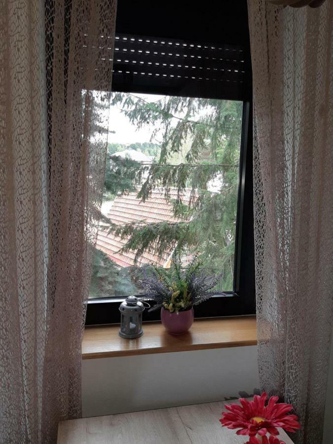 Apartman Nana Svetogorska 19 ,Stan 17 ซลาตีบอร์ ภายนอก รูปภาพ